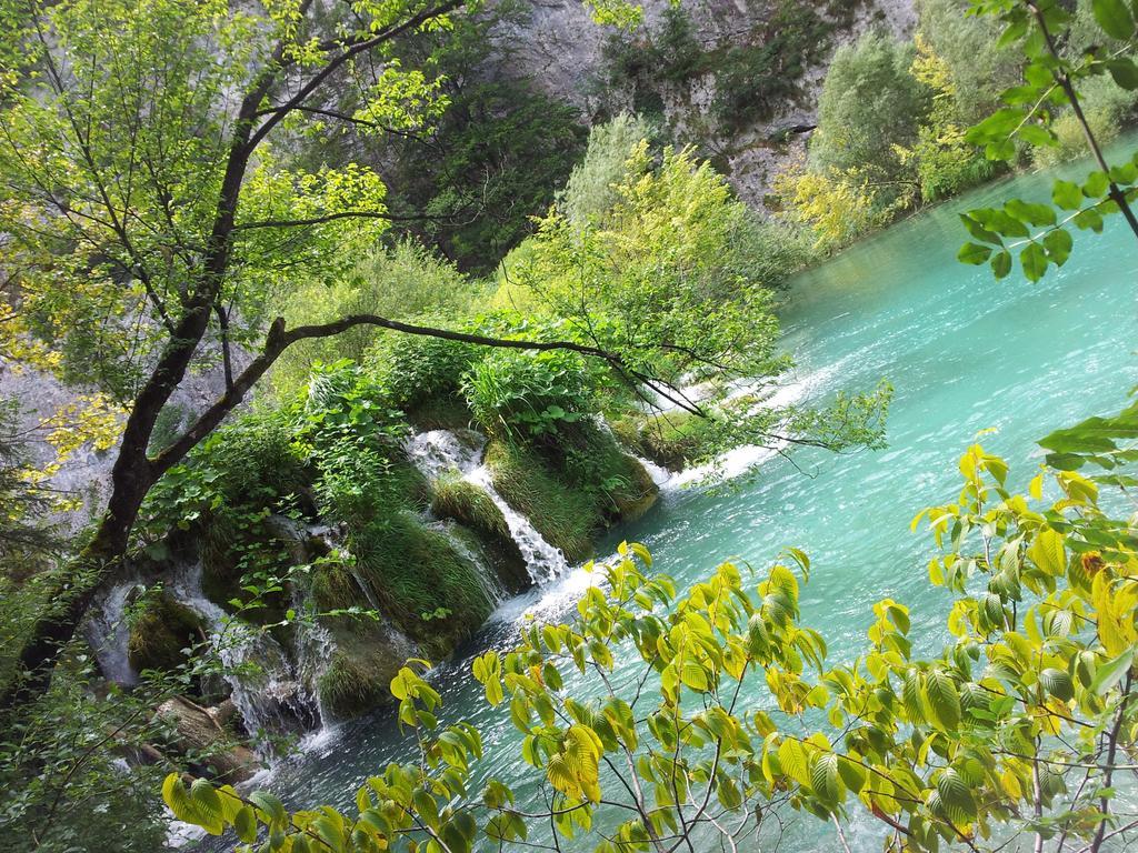 Guest House Family Varda Plitvice Lakes Plitvička Jezera Εξωτερικό φωτογραφία