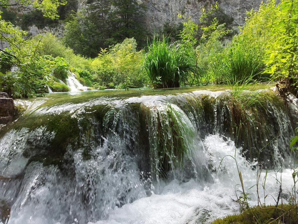 Guest House Family Varda Plitvice Lakes Plitvička Jezera Εξωτερικό φωτογραφία