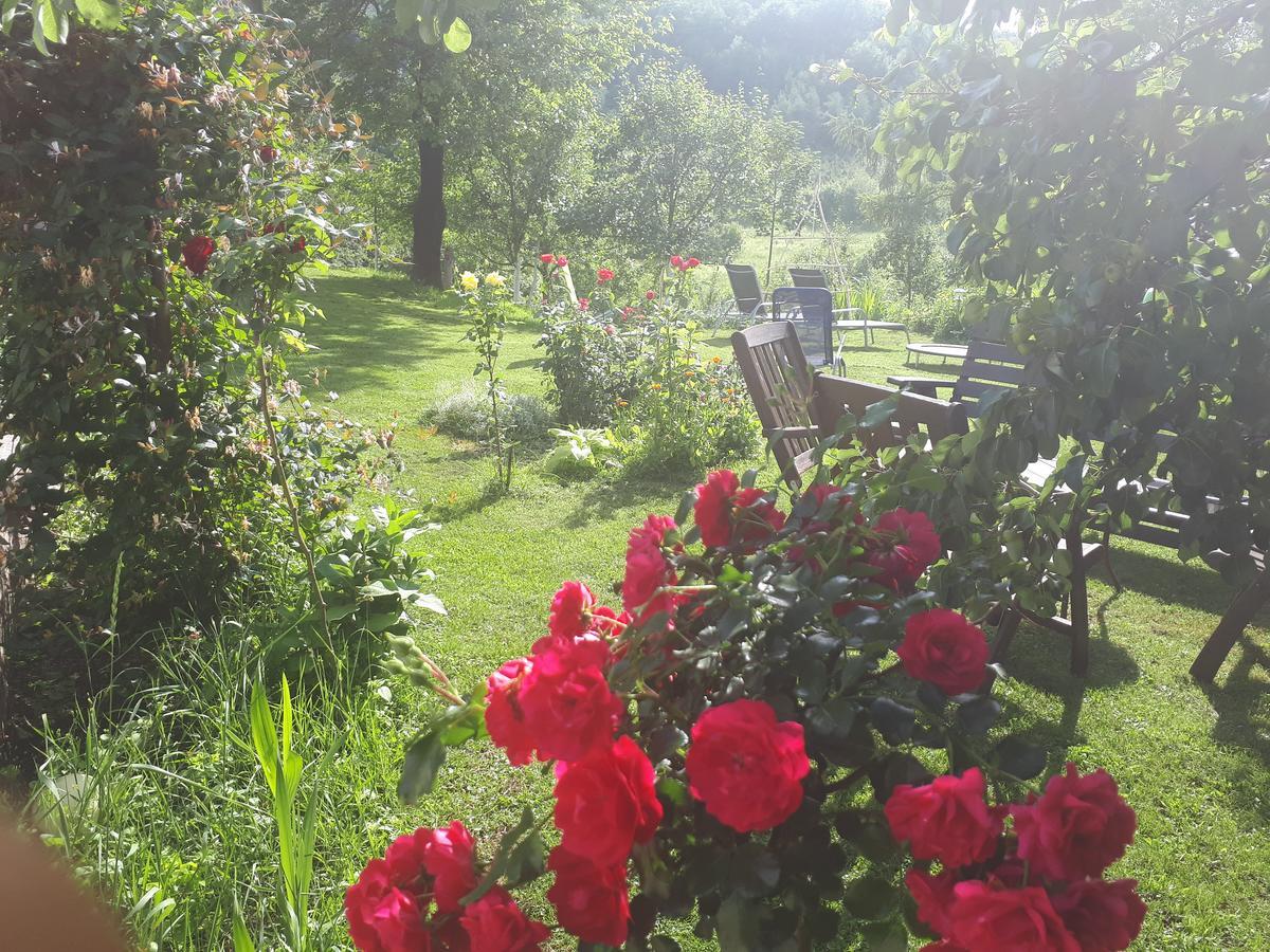 Guest House Family Varda Plitvice Lakes Plitvička Jezera Εξωτερικό φωτογραφία